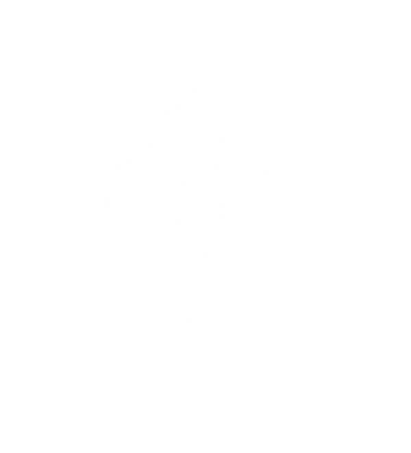 Lion Collection